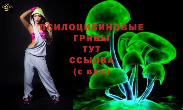 Альфа ПВП Алексин