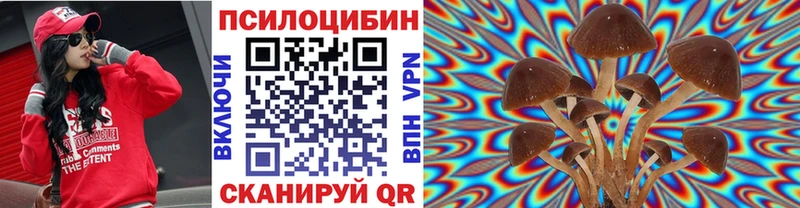 как найти закладки  Луга  Псилоцибиновые грибы Psilocybine cubensis 