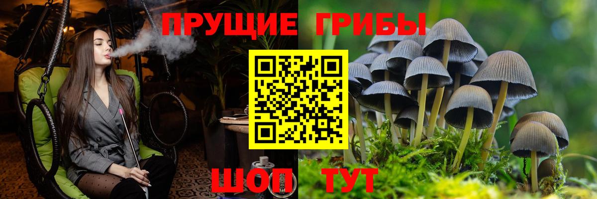Луга  Галлюциногенные грибы MAGIC MUSHROOMS  Псилоцибиновые грибы мухоморы  Вход с VPN 