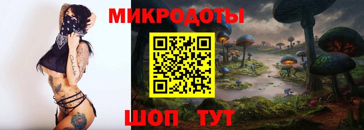 Псилоцибиновые грибы GOLDEN TEACHER Луга